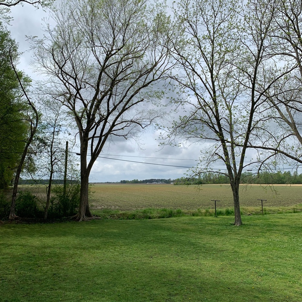 Meet your Posher, Bryant